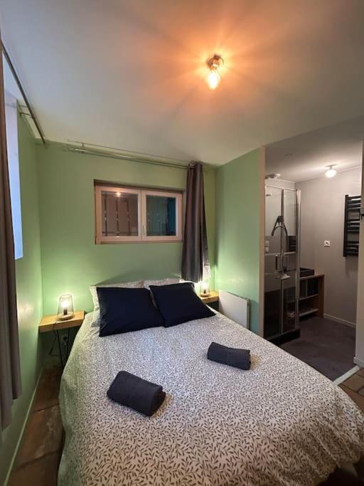 Le Cosy Balat Biel Rdc Jardin Spacieux Grisolles  Ngoại thất bức ảnh
